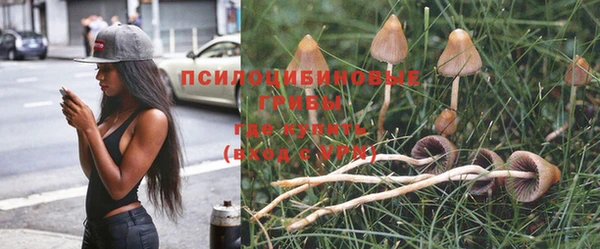 ECSTASY Лихославль