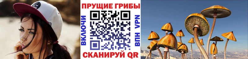 Галлюциногенные грибы MAGIC MUSHROOMS  Павловская 