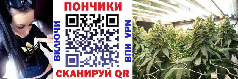 где продают   кракен ТОР  Канабис ГИДРОПОН  Павловская 